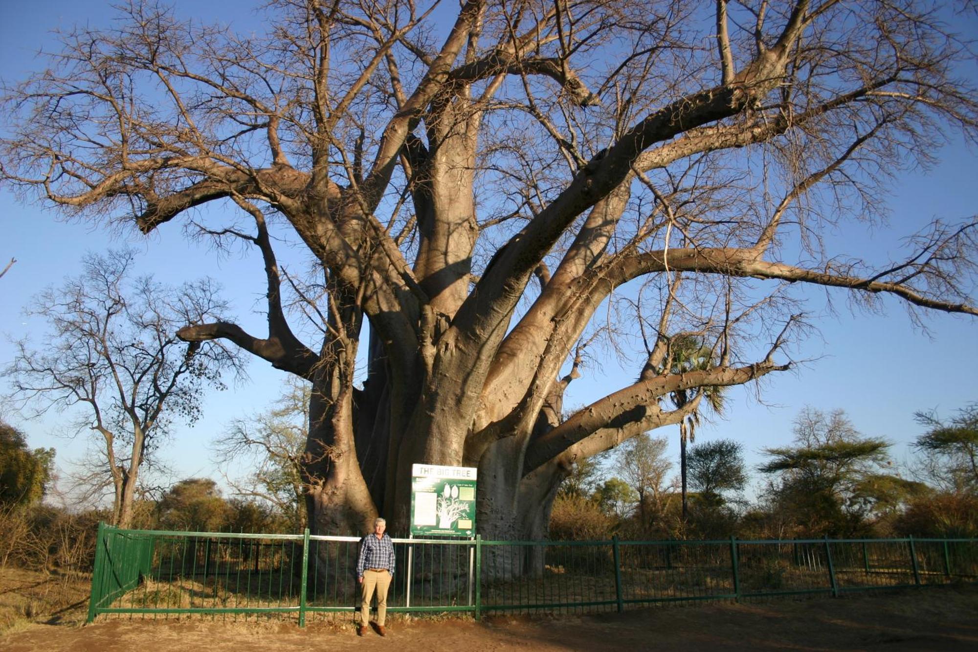 Room In Villa - Zambezi Family Lodge - Elephant Room Виктория Фолс Екстериор снимка
